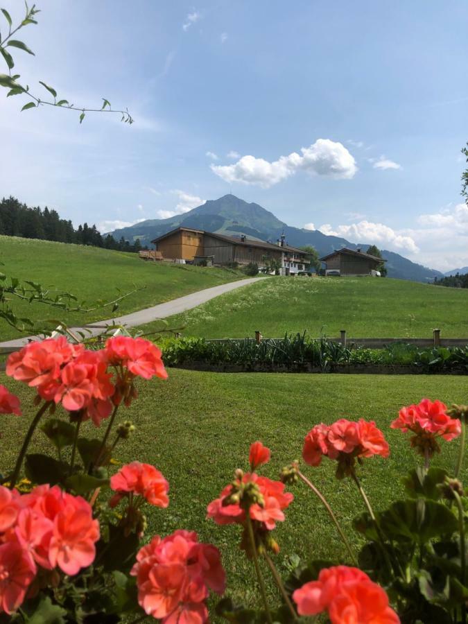 Appartement Woergoetter Evi Sankt Johann in Tirol Exterior photo